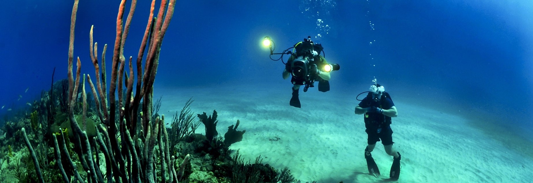 Discover Scuba Diving